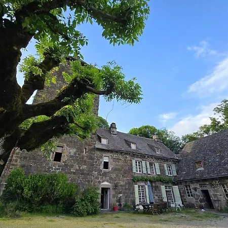 Chateau De Lescure Saint-Martin-sous-Vigouroux