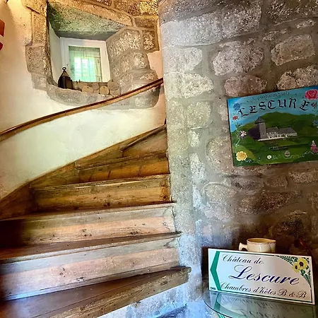Pensjonat Chateau De Lescure Saint-Martin-sous-Vigouroux
