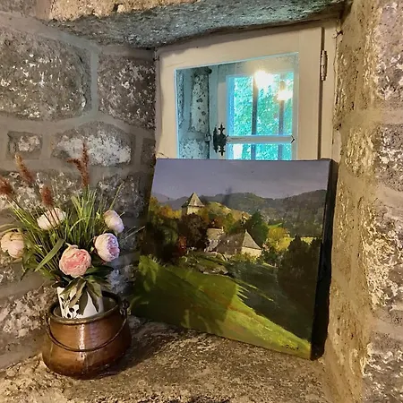 Chateau De Lescure Πανσιόν